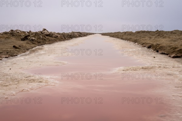 Pink salt flats with mineral-rich water in Sandwich Harbour, Namib-Naukluft National Park, Namibia.