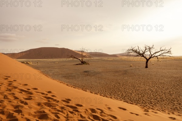 Big Daddy Dune & Deadvlei, Namibia – Towering red dune above Deadvlei's ancient dead camelthorn