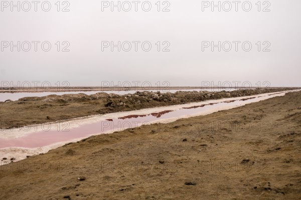 Pink salt flats with mineral-rich water in Sandwich Harbour, Namib-Naukluft National Park, Namibia.