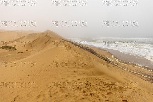 Golden dunes and the Atlantic Ocean near Namib-Naukluft Park, Namibia. A lagoon and shoreline fade