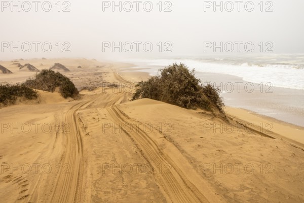 Golden dunes and the Atlantic Ocean near Namib-Naukluft Park, Namibia. A lagoon and shoreline fade