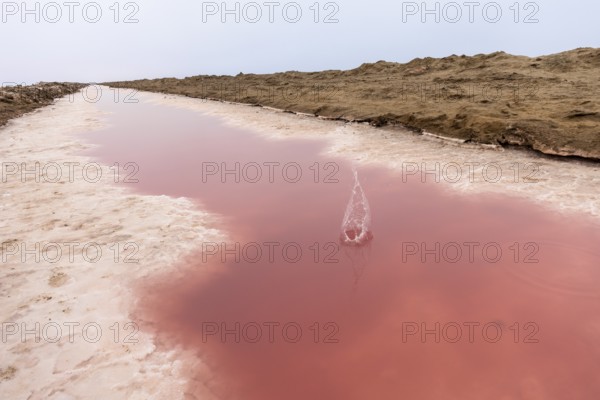 Pink salt flats with mineral-rich water in Sandwich Harbour, Namib-Naukluft National Park, Namibia.