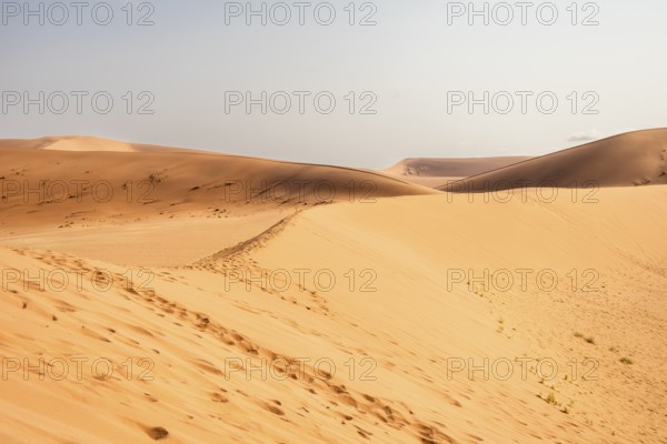 Sossusvlei in Namibia is a desert wonder, famous for its giant red dunes, glowing at sunrise and