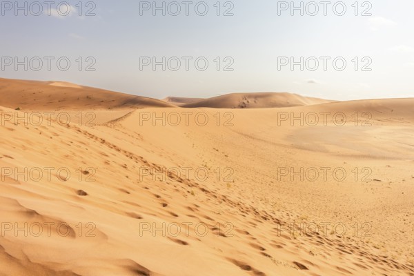 Sossusvlei in Namibia is a desert wonder, famous for its giant red dunes, glowing at sunrise and