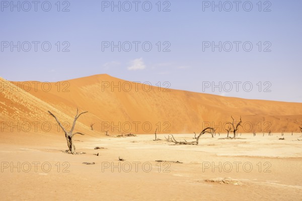 Big Daddy Dune & Deadvlei, Namibia – Towering red dune above Deadvlei's ancient dead camelthorn