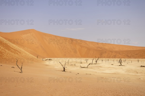 Big Daddy Dune & Deadvlei, Namibia – Towering red dune above Deadvlei's ancient dead camelthorn