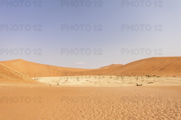Big Daddy Dune & Deadvlei, Namibia – Towering red dune above Deadvlei's ancient dead camelthorn