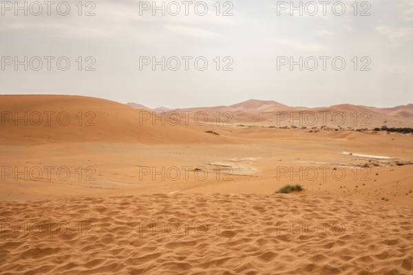 Sossusvlei in Namibia is a desert wonder, famous for its giant red dunes, glowing at sunrise and