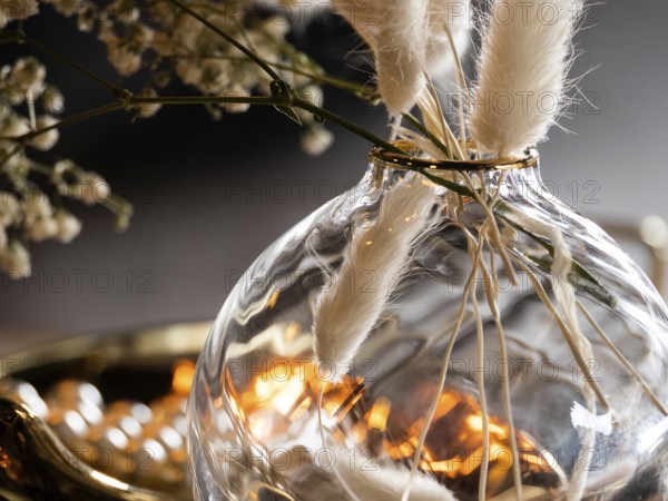 Vase, mood, decoration, plants, modern, gold, dried, art deco, warm, winter, colours, illustration,