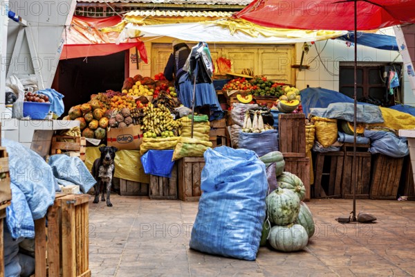 A colourful marketplace full of fruit and vegetables with a dog standing between wooden crates,