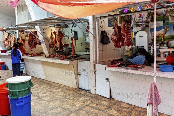 A lively meat market with customers and colourful illustrations in the background, The meat market
