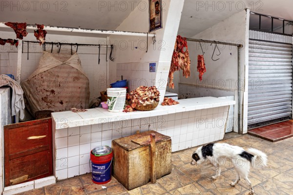 A dog walks past a table of raw meat and closed stalls, The meat market in the market halls of