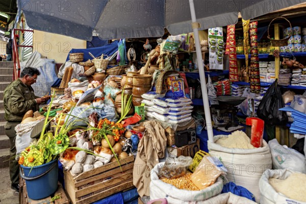 A lively market stall full of fresh vegetables, fruit and spices under a large umbrella, Extensive