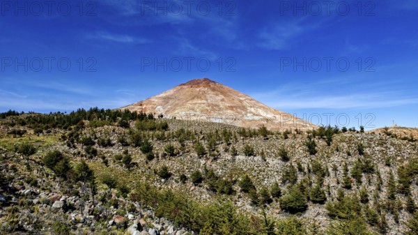 Brown volcanic mountain under a clear blue sky, surrounded by sparse vegetation and trees, the