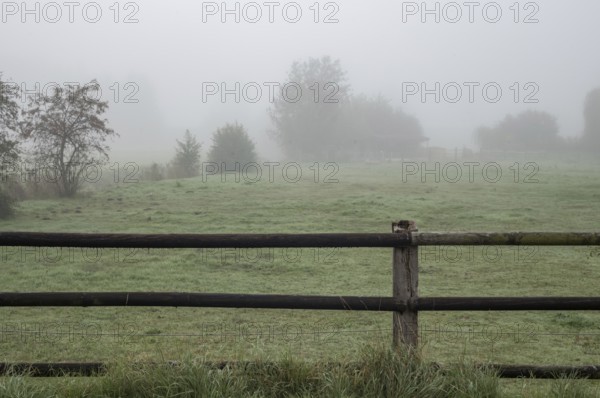 Fog covering a green farming field with a rustic wooden fence in the foreground