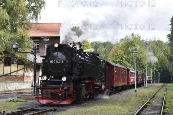 Rail bus, railcar T1 and steam locomotive of the Harz narrow-gauge railway at Alexisbad station,