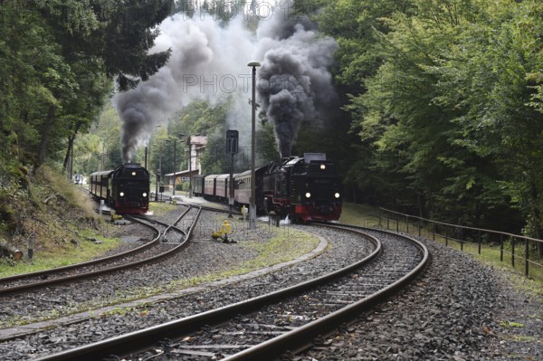 Double run, parallel run, double exit of two steam locomotives of the Harz narrow-gauge railway,