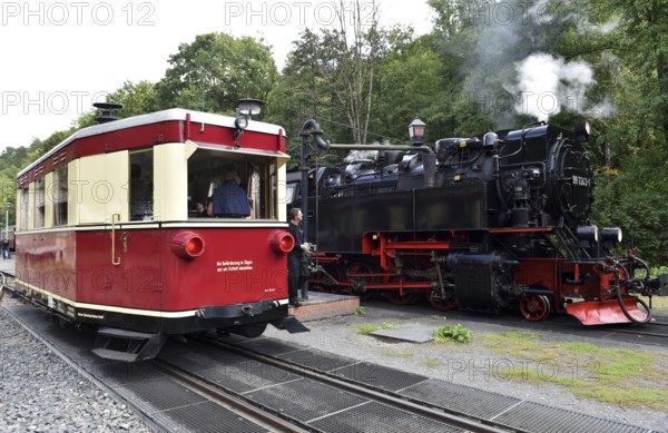 Rail bus, railcar T1 and steam locomotive of the Harz narrow-gauge railway at Alexisbad station,