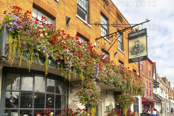 Colourful flowers in large window box and hanging baskets, Royal Oak public house, Marlborough,
