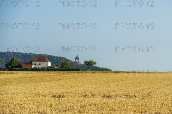 Summer landscape with a wheat field, a house with a red roof and a tower on a hill in the