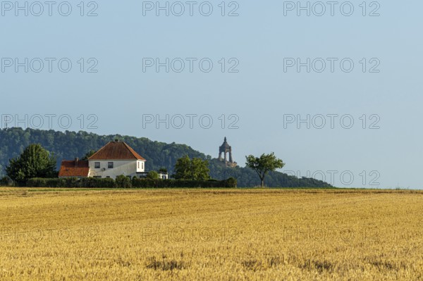 Summer landscape with a wheat field, a house with a red roof and a tower on a hill in the