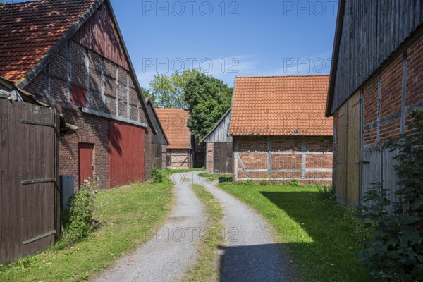 Rural path between farmsteads with red roofs and half-timbered façades, framed by summer greenery,