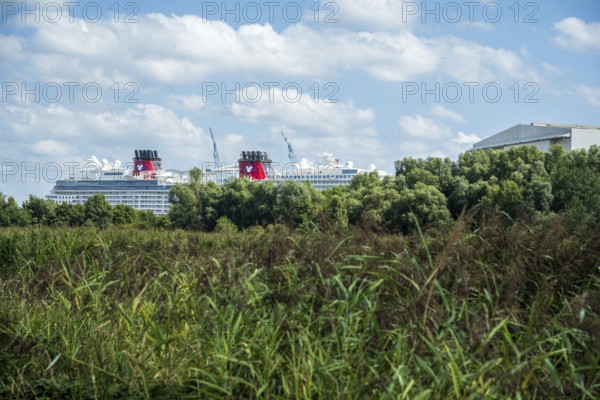 A cruise ship hides behind green trees in front of a blue sky with clouds, cruise ship in the