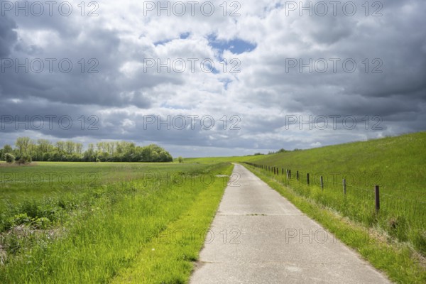 A path leads through a green landscape under a cloudy sky, farm track behind a dyke near