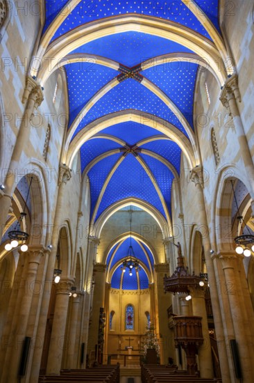 Inside the Beautiful Cathedral Collégiale de Neuchatel in City of Neuchatel, Canton Neuchatel,