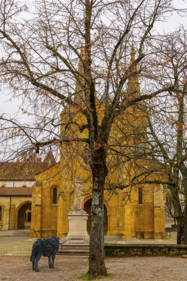 Beautiful Cathedral Collégiale de Neuchatel and Bare Tree with Sky in City of Neuchatel, Canton