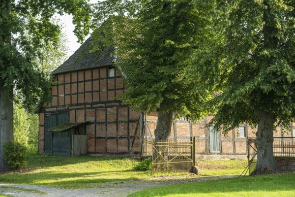 Half-timbered house surrounded by green trees and meadow on a sunny day, Bücken, district of