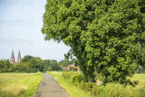 Rural scene with a path along a large tree, next to fields and a village in the background, Ev.