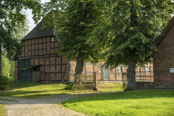 Half-timbered house in a rural setting with trees and green lawn in the sunlight, Bücken, Nienburg