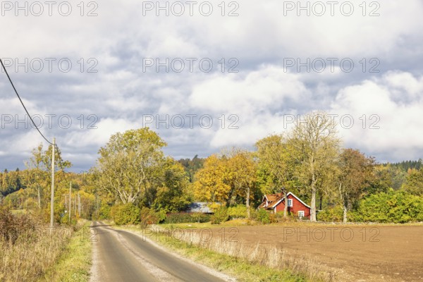 Gravel road to a farmhouse in a grove of trees in the countryside with beautiful autumn colors on