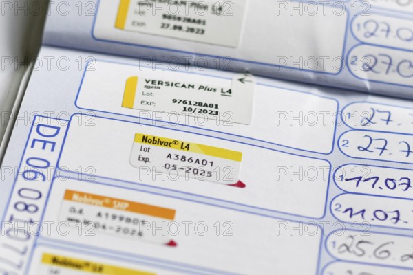 Germany - August 2025: Dog vaccination record in pet passport. Stamp of Nobivac L4 vaccine against