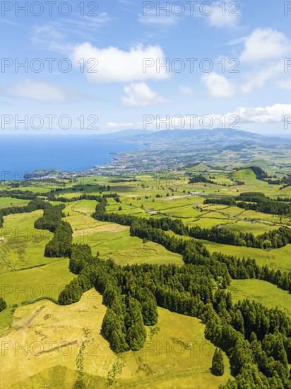 Green Lush Hills with Pasturelands and Trees. Atlantic Ocean. Azores, Sao Miguel Island. Portugal.