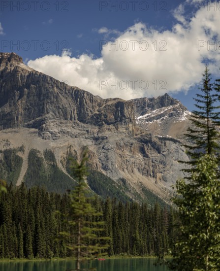 A rugged mountain scene of the Canadian Rocky Mountains with pine trees and clouds in a bright blue