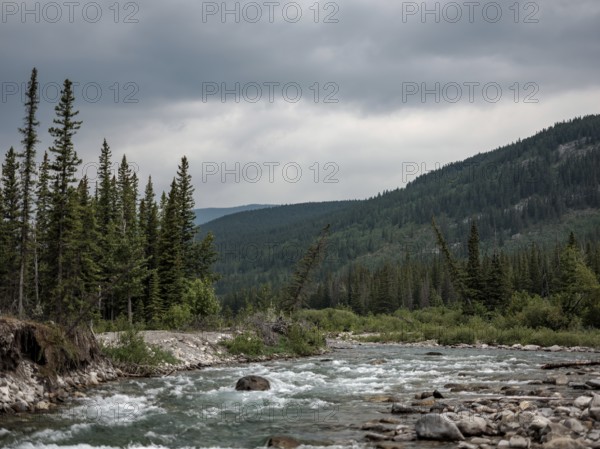 A flowing Elbow River bordered by dense forests and mountains under a cloudy sky within Bragg Creek