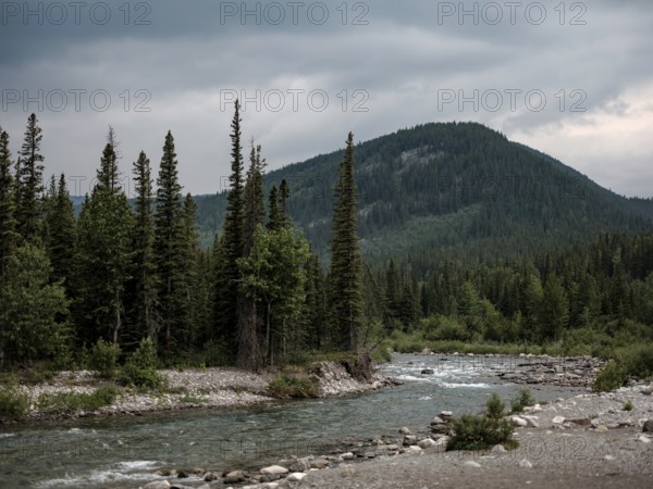 The Elbow River winds through a vast forest with mountains under a moody sky within Bragg Creek