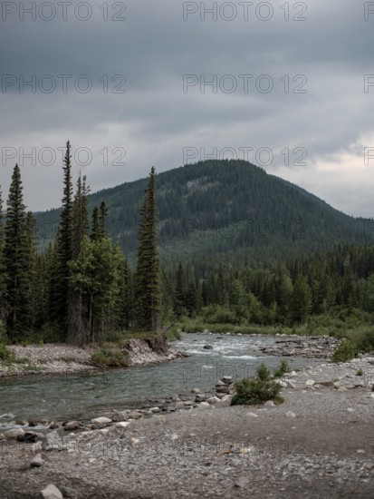 The Elbow River meanders through a dense evergreen forest beneath a cloudy sky within Bragg Creek