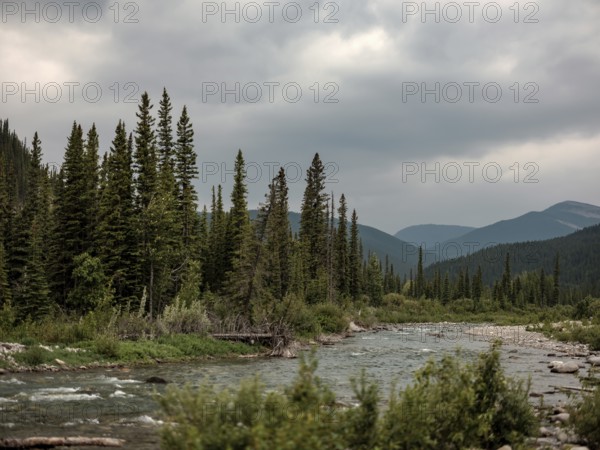A tranquil Elbow River runs through a forest with a backdrop of distant mountains within Bragg