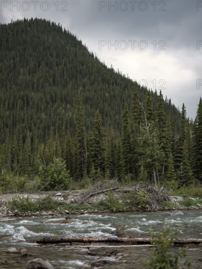 The Elbow River below a steep forested mountainside under a dramatic cloudy sky within Bragg Creek