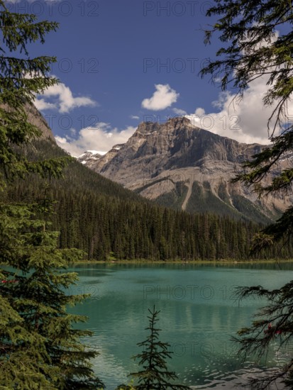 Turquoise Emerald Lake with surrounding Canadian Rocky Mountains and trees within Yoho National