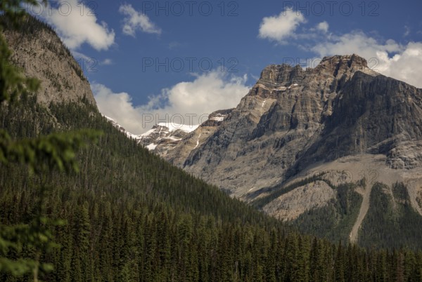 The Canadian Rocky Mountains under a blue sky with clouds and dense forest within Yoho National