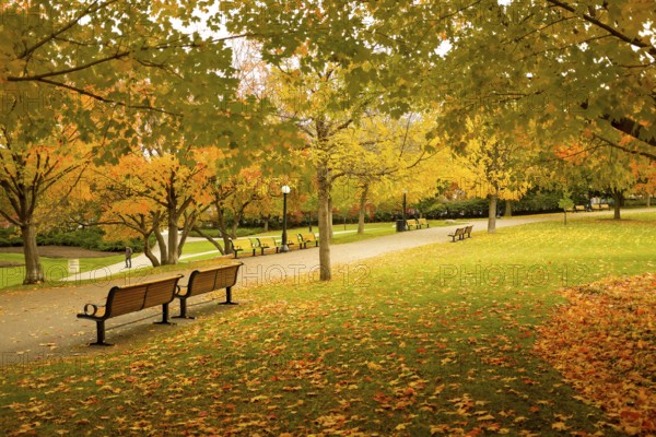 Park scene in fall with a pathway and benches, surrounded by trees in vibrant autumn colors,