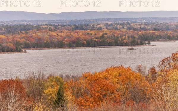 Vibrant autumn forest along the Ottawa River with distant hills under a cloudy sky in Ottawa,