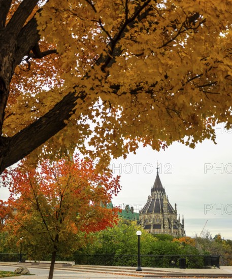 Colorful autumn trees framing a distant view of a gothic-style of the Canadian Parliament Building,