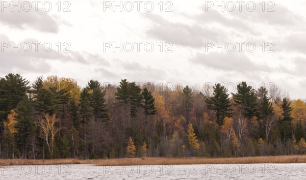Forest and lake scene with autumn foliage and an overcast sky in Ottawa, Ontario, Canada, North