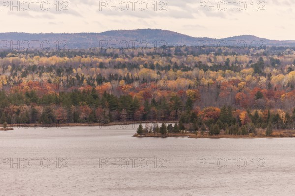 Autumn colors dominate a forest landscape by the Ottawa River with distant hills in Ottawa,