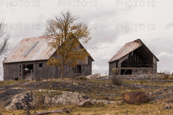 Two old barns in a rural area with autumn trees and a cloudy sky in Ottawa, Ontario, Canada, North